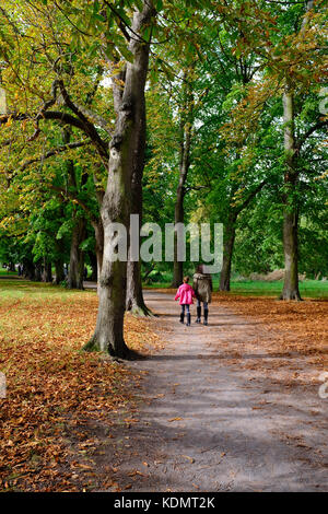 Morden Hall Park Autumn Stock Photo