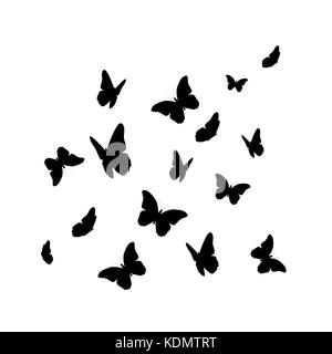 Butterfly Silhouette isolated on white background. Vector illustration ...