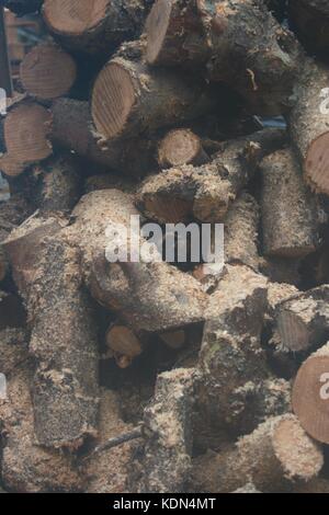 Freshly Cut Sticks Covered In Sawdust On A Farm In Co Armagh, Northern Ireland Stock Photo