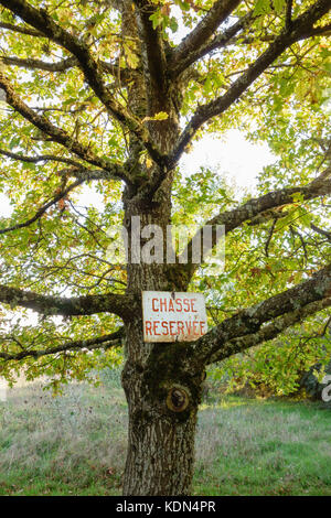 Warning sign in a tree. Hunting sign in French, 'Chasse Réservée' Reserved Hunting written on a rusty sheet of metal. France, Cher. Stock Photo