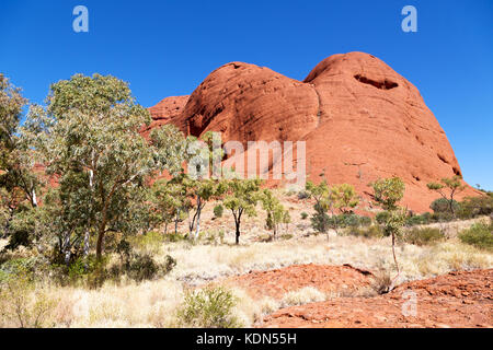 in  australia natuarl park the hill and mountain near tree and bush Stock Photo