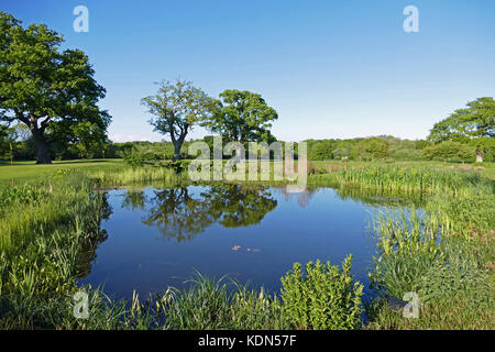 Park House Hotel & Spa, Bepton, Midhurst, West Sussex Stock Photo