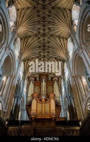 View of the Organ and ceiling above the Choir, Norwich Cathedral, Norfolk, UK Stock Photo