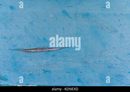 Wodden texture with old blue paint on abandoned fishing boat Stock Photo