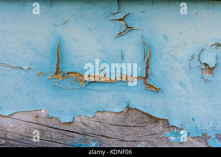 Wodden texture with old blue paint on abandoned fishing boat Stock Photo