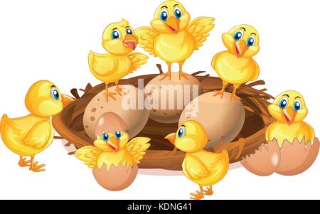 Chicken in the nest illustration Stock Vector Art & Illustration ...