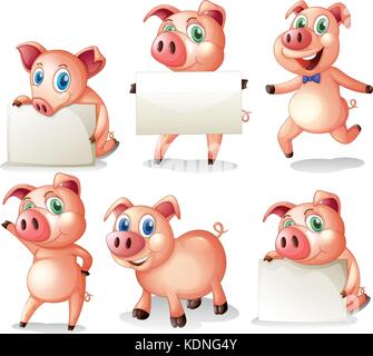 Pigs holding blank boards illustration Stock Vector