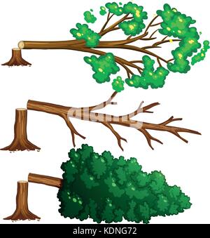 Chopped trees on the floor illustration Stock Vector