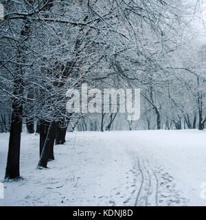 Fluffy snow. Pathway through a winter park. Snow covered trees in the grove. Winter scene. Aged photo. Stock Photo