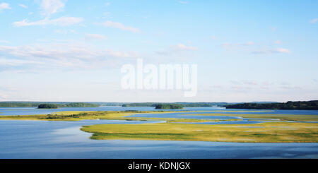Sunny summer day on Kenozero lake. Colorful photo. Long green grass growing in the water. Natural background. Wide format photo. Kenozersky National P Stock Photo