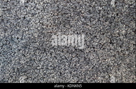 Grey carpet texture background Stock Photo