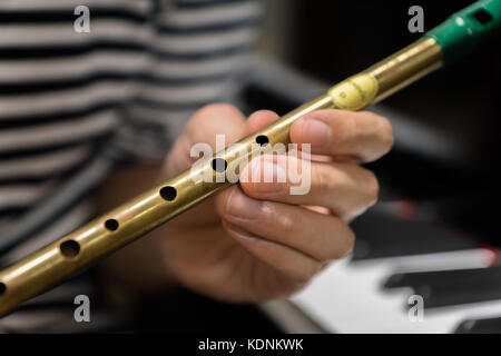 Irish tin whistle for celtic folk music in front of piano Stock Photo -  Alamy