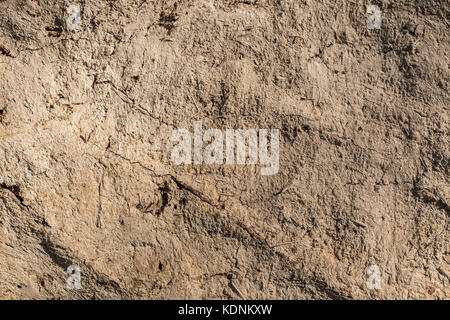 Old clay stucco background in the sun light Stock Photo