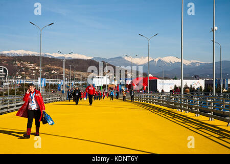 SOCHI, RUSSIA.  FEBRUARY 07, 2014 - The first spectators and fans go to the opening ceremony of the Olympic games Stock Photo