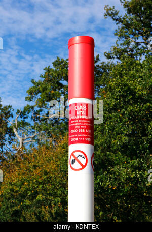 A gas pipeline marker post in the Norfolk countryside at Ringland, Norfolk, England, United Kingdom. Stock Photo