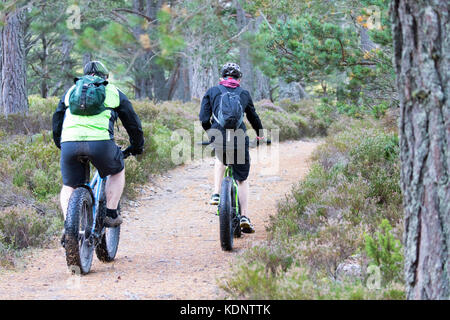 People cycling around the very popular and well established trails at Loch an Eilein in the Rothiemurchus Forest part of the Rothiemurchus Estate Stock Photo
