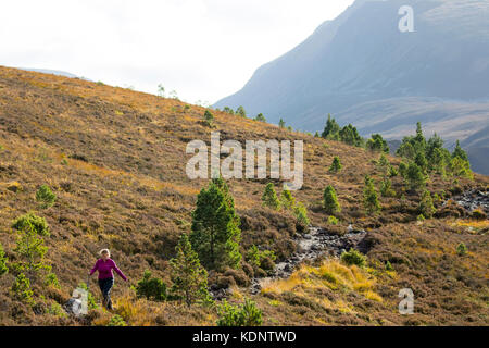 A mountain walker on the trail along the Lairig Ghru mountain pass that passes through the Cairngorms, Scotland, UK Stock Photo