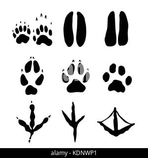 Set of Mammals and bids Footprints isolated on white background - Vector Illustration. Stock Vector