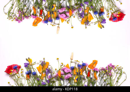 frame border of delicate flowers. Spring yellow, purple, pink flowers on white background. View from above, flat lay, top view Stock Photo