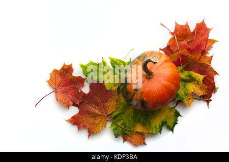 Autumn corner border of white pumpkins and silver leaves over a rustic ...