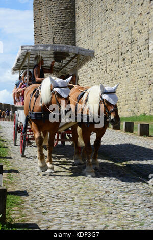 Horses and carriage travelling around castle at Carcassonne, France Stock Photo