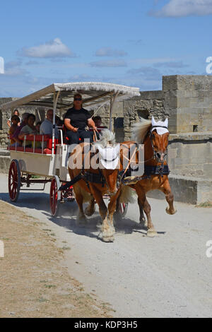 Horses and carriage travelling around castle at Carcassonne, France Stock Photo