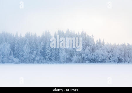 Cold fog over the snow covered lake with a forest in the winter Stock Photo