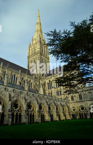 View of Salisbury Cathedral from Cloisters, Salisbury, Wiltshire, England, UK Stock Photo