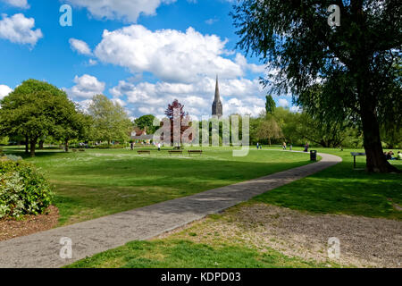 Salisbury Cathedral as seen from Queen Elizabeth Gardens, Salisbury, Wiltshire, United Kingdom Stock Photo