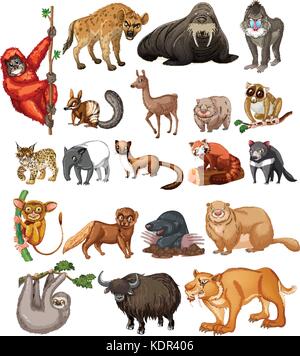 Wild animals on white background illustration Stock Vector