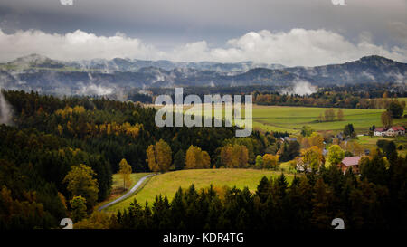 Bohemian Switzerland after a heavy rainfall in October in the Czech Republic. Close up of a fir tree with the clouds moving through the forest in the Stock Photo