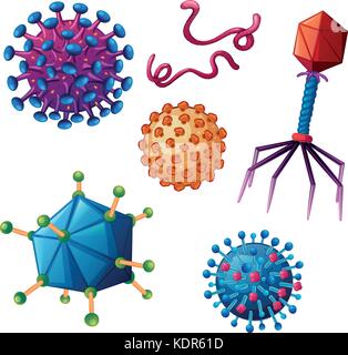 Different types of viruses illustration Stock Vector Image & Art - Alamy