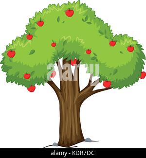 Apple tree with red apples illustration Stock Vector