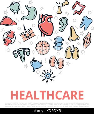 Vector organs and anatomy thin line icons in heart shape design concept. Illustration for presentations on white background Stock Vector