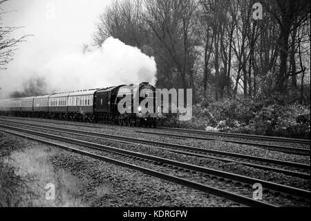 60163 'TORNADO' (on its first public train in B.R. blue) heads a 'CATHEDRALS EXPRESS' at Bishton. Stock Photo