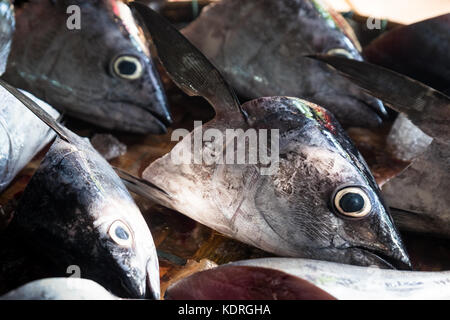 Fresh fish displayed on bamboo trays in Dong Bar Market, Hue Stock Photo