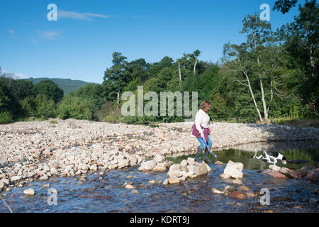 Woman and dog on stepping stones over the  River Enrick in  Urquhart Bay Woods near Drumnadrochit, Scotland.  Summer. Stock Photo
