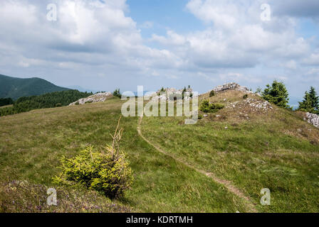 mountain meadow with small isolated trees, rocks and hiking trail on Skalky hill in Lucanska Mala Fatra mountains in Slovakia Stock Photo