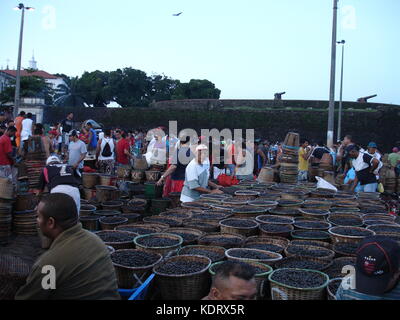 Several acai fruit baskets at acai market in Belem do Para Brazil Stock Photo