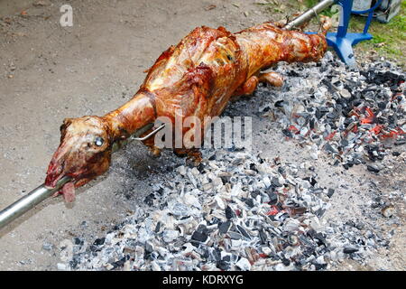 Grill Fur Ganzes Lamm