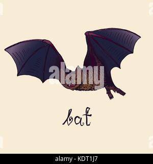 Bat with inscription,  woodcut style design, hand drawn doodle, sketch in pop art style, isolated vector color illustration Stock Vector