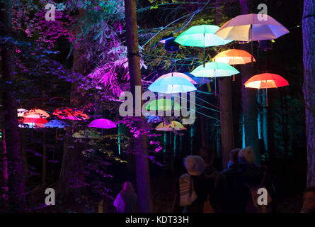 An illuminated installation at night in The Enchanted Forest in Faskally Woods near Pitlochry, Perthshire, Scotland, UK Stock Photo