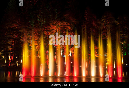An illuminated water fountain installation at night in Loch Dunmore in the Enchanted Forest in Faskally Woods near Pitlochry, Perthshire, Scotland, UK Stock Photo