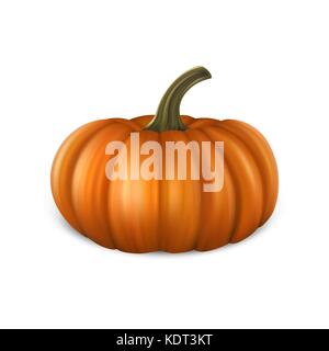 Realistic pumpkin icon closeup isolated on white background. Halloween Symbol. Design template, stock vector illustration, eps10 Stock Vector