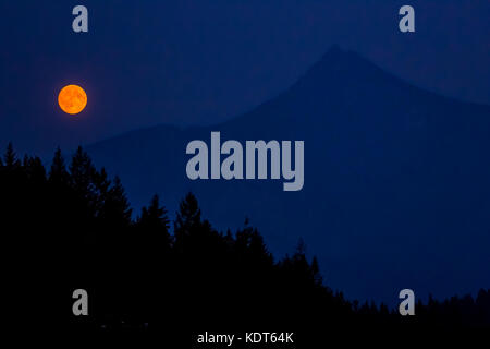 The full moon rises over forest and mountain silhouettes east of Golden in British Columbia, Canada. Stock Photo