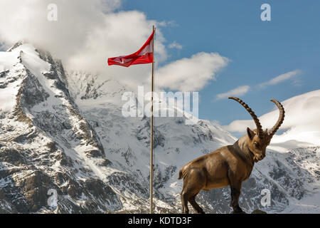 Alpine ibex statue and Austrian flag on top of mountain at Grossglockner High Alpine Road area in Austria. Stock Photo