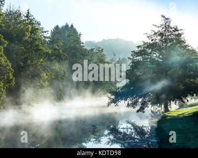 Early-morning mist on river Claise, Preuilly-sur-Claise, France. Stock Photo