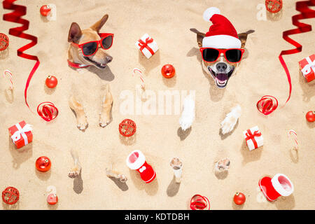 couple of two  dogs buried in the sand at the beach on merry christmas holiday ,gifts , boots and serpentine streamers all over the place Stock Photo