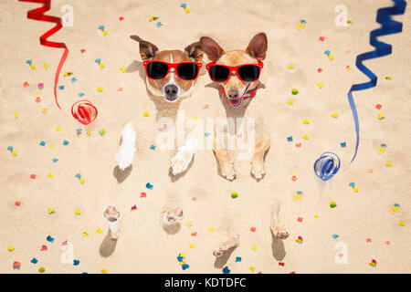 couple of two  dogs buried in the sand at the beach on happy new years eve , confetti and serpentine streamers all over the place Stock Photo