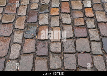 Wet Cobbled Road Close Up ,black,grey,beige with fallen dead leaves Stock Photo
